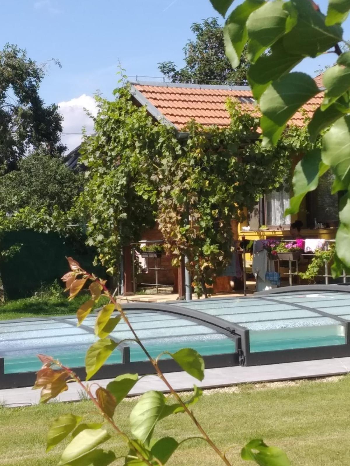 Chalupa V Merunkovem Sadu Šakvice Quarto foto